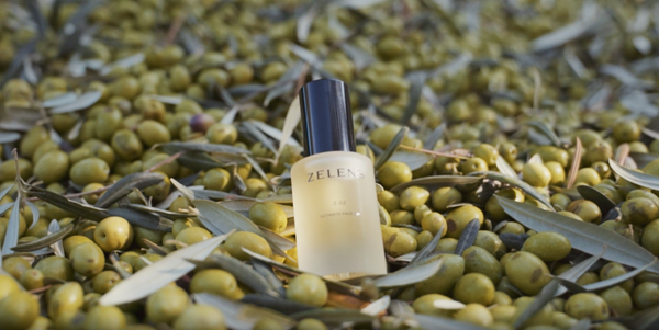 Zelens Z22 Ultimate Face Oil on fresh Olives in Sicily