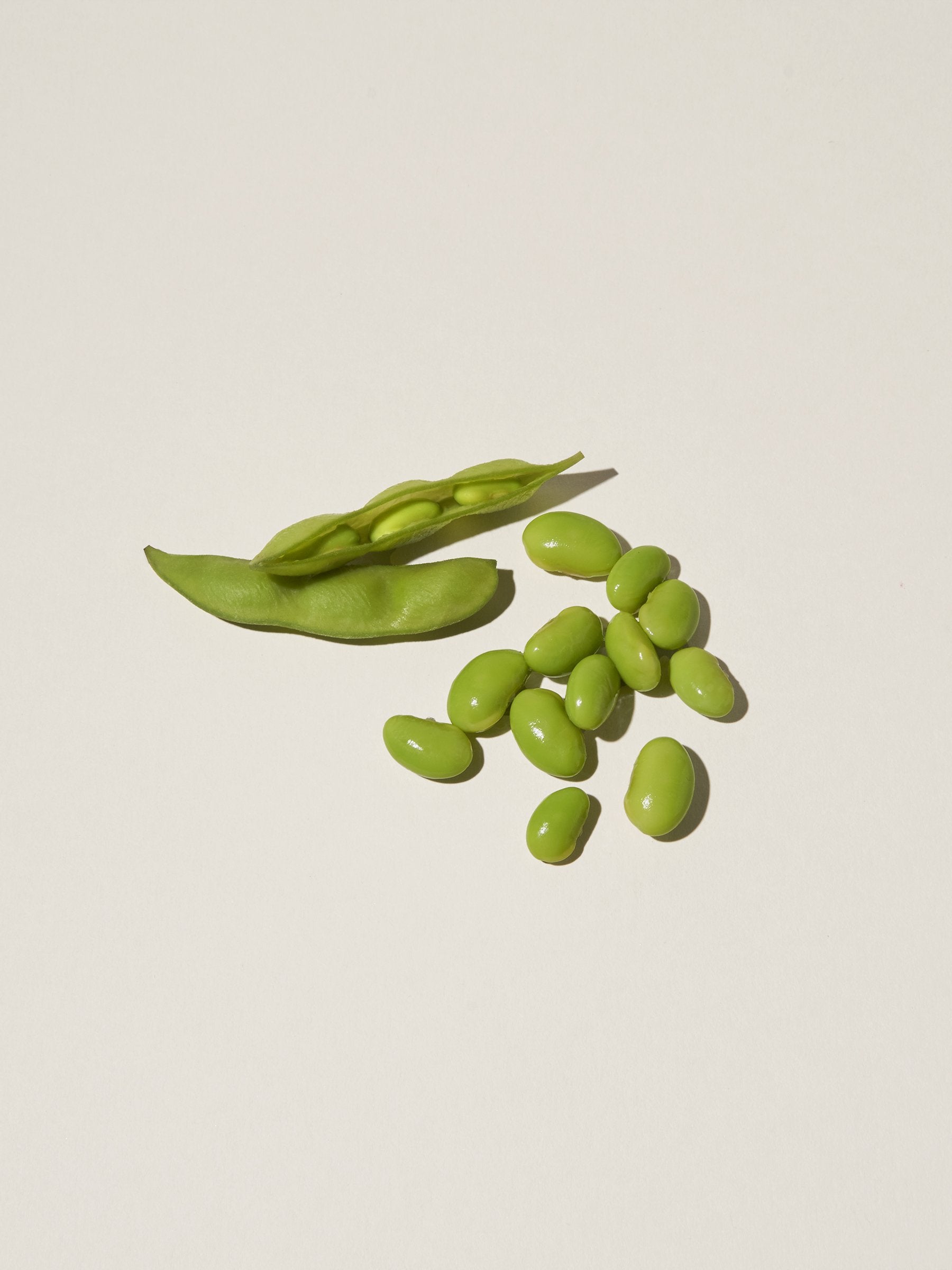 Soybean