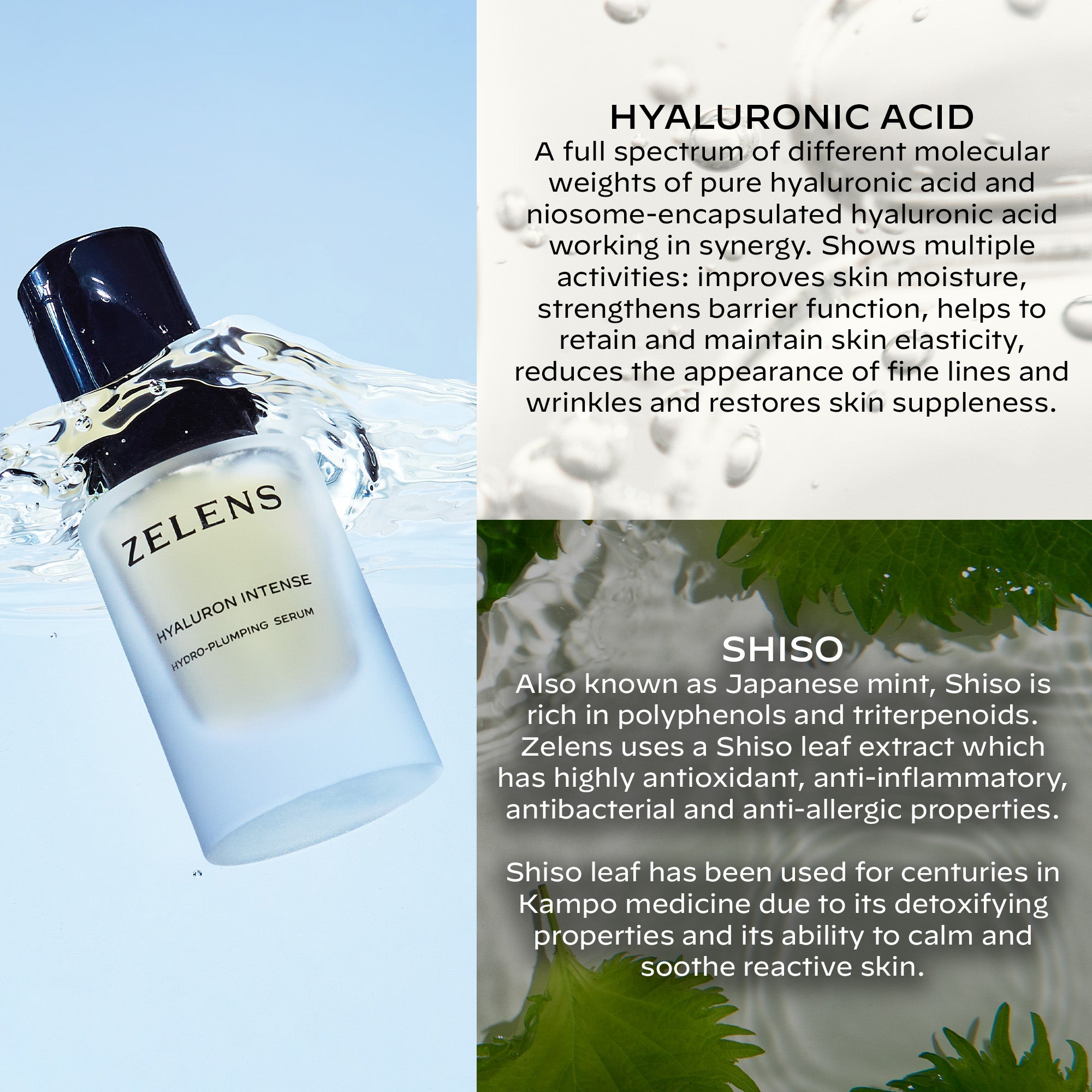 Hyaluron Intense - Hydro-Plumping Serum