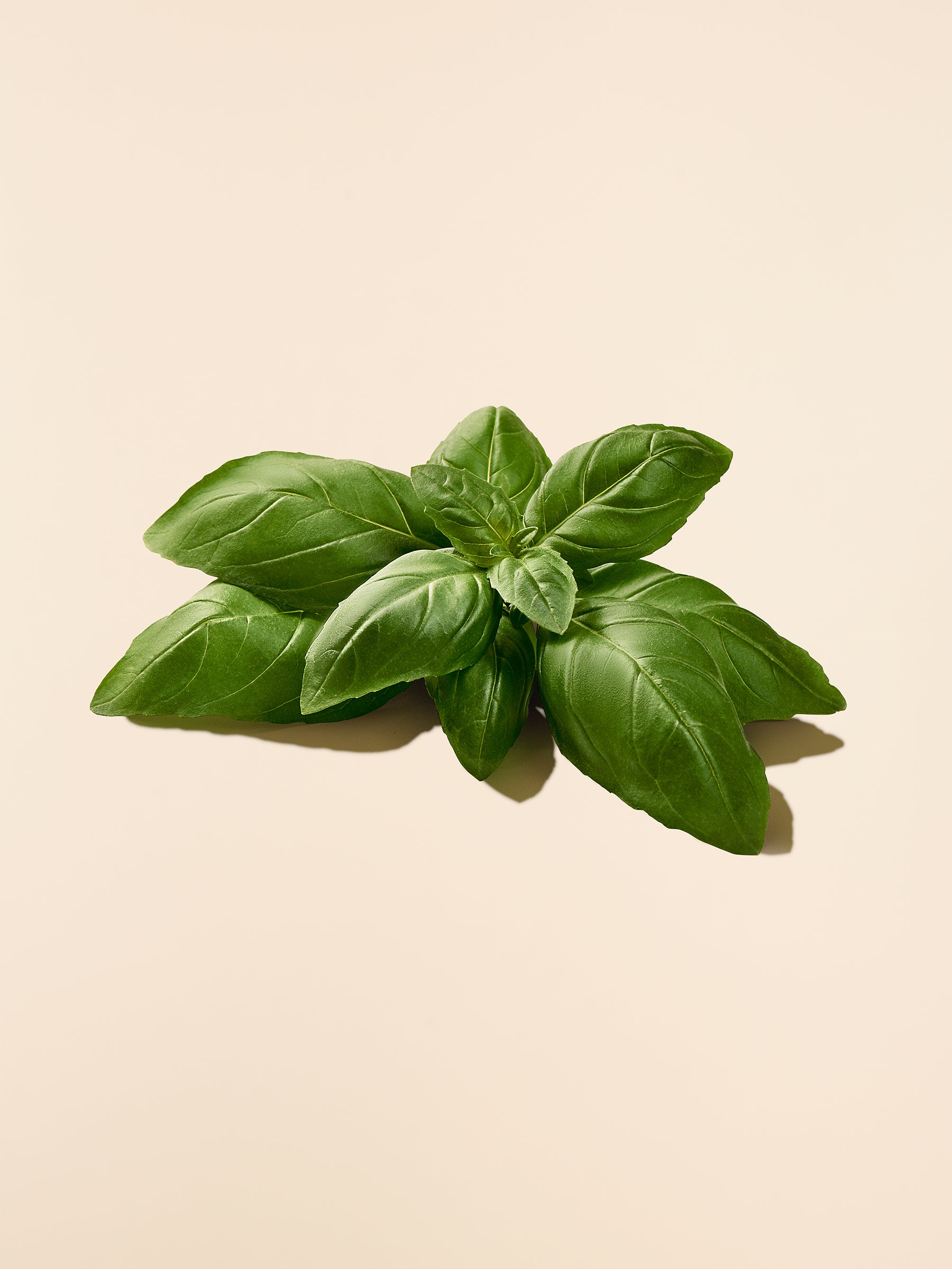 Basil Oil