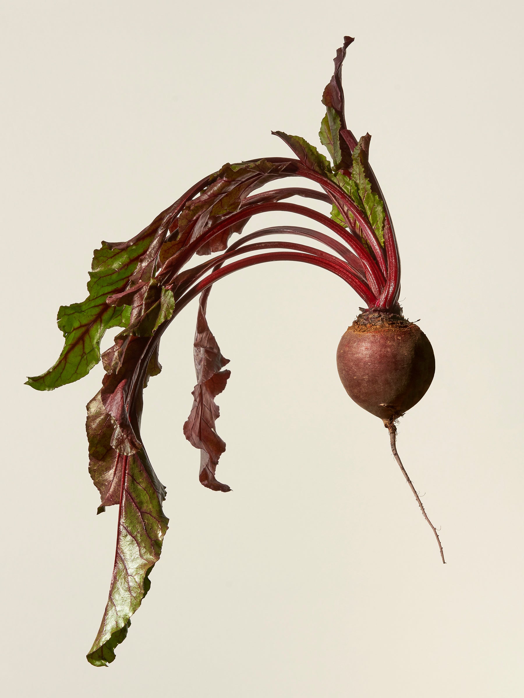 Beetroot