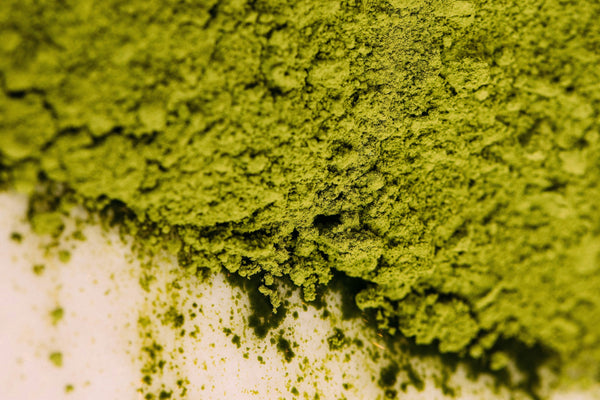 Matcha Skincare Benefits: Why Your Skin Needs This Superfood