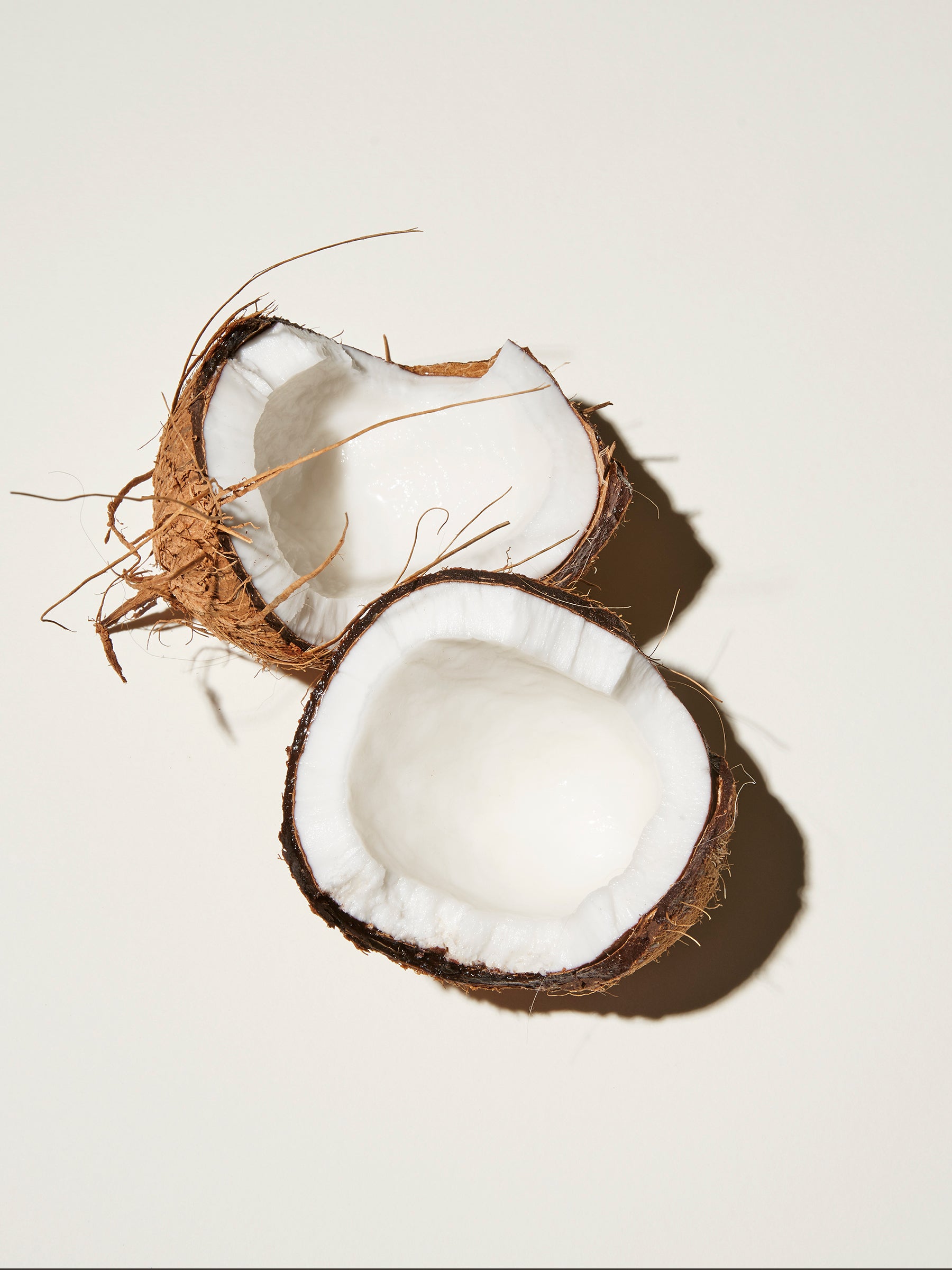 Coconut