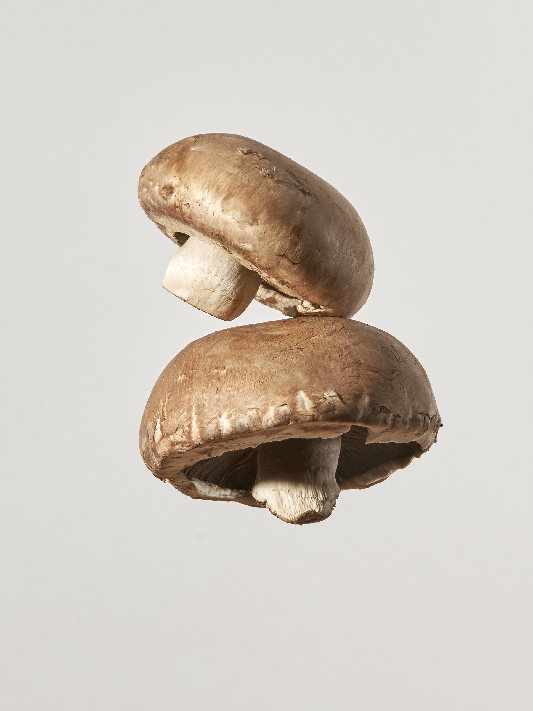 White Mushroom
