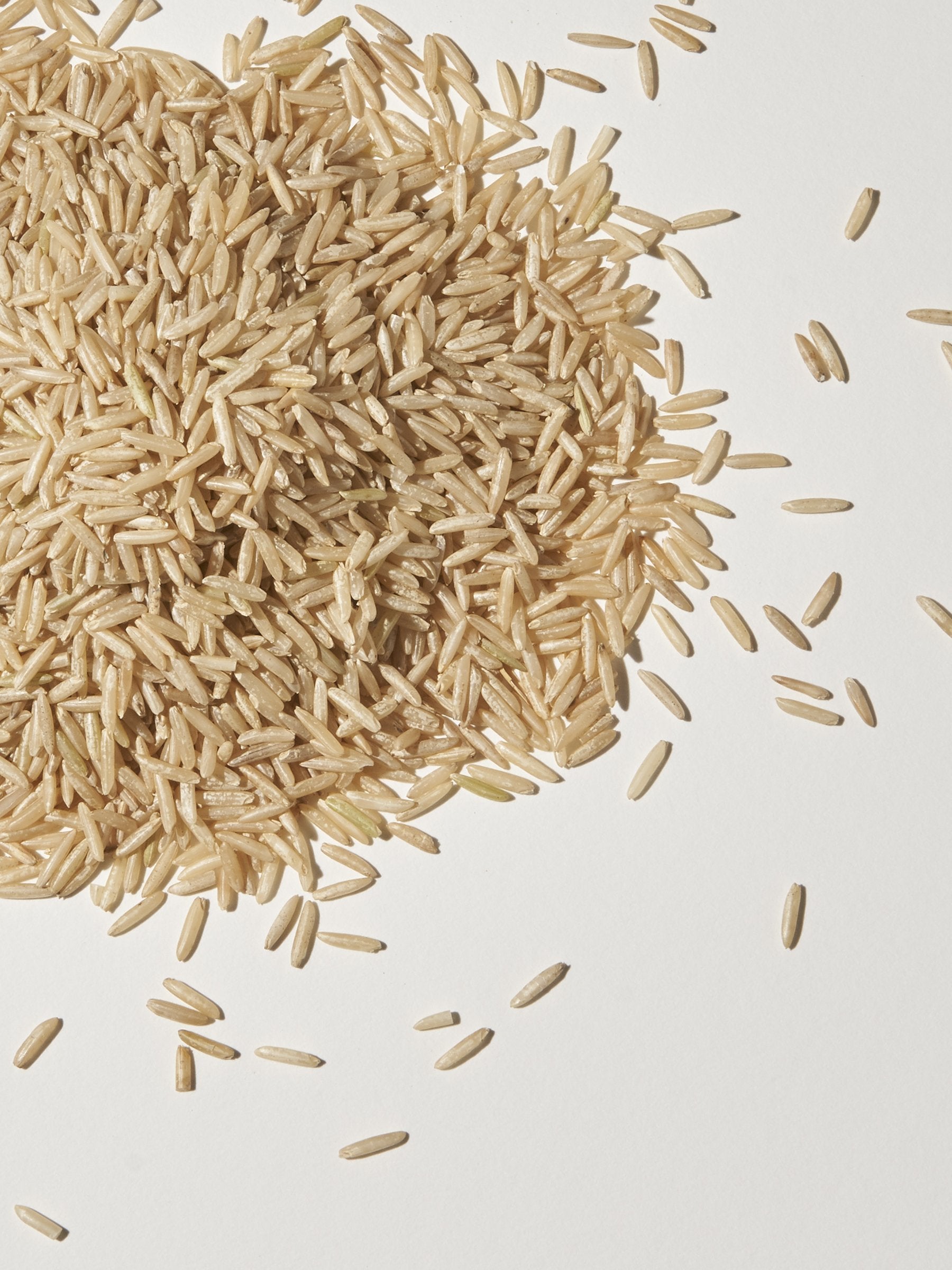 Rice
