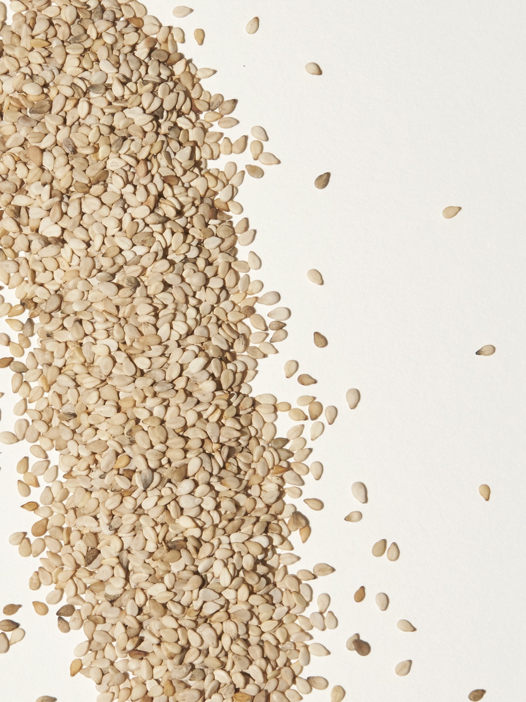 Sesame seed